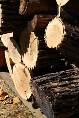 [Hearth.com] Help ID some wood I got from the junkyard please