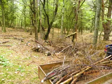 [Hearth.com] Clearing for New Trail