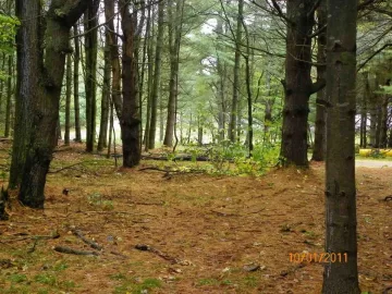 [Hearth.com] Clearing for New Trail