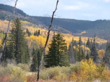 [Hearth.com] Spent the day in the mountains
