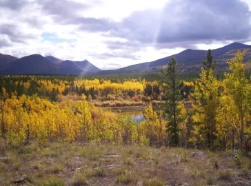 [Hearth.com] Spent the day in the mountains