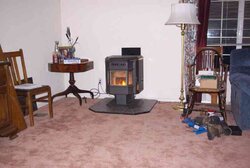 New Member Looking for help on Pellet Stove for Our Family
