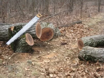 [Hearth.com] Crosscut Saw.