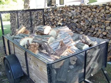 [Hearth.com] Free Load Of Black Locust