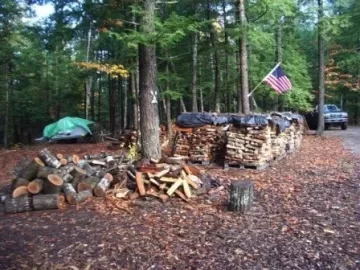 [Hearth.com] Too Much Wood?!?