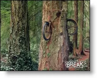 [Hearth.com] Lost Your Bicycle?