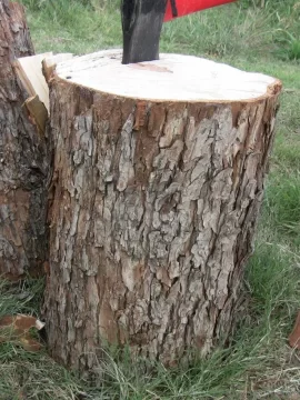 [Hearth.com] Yet another wood ID question
