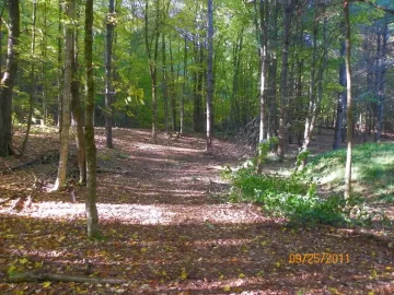 [Hearth.com] Future Trail Clearing
