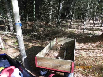 [Hearth.com] Walking Trail Clearing