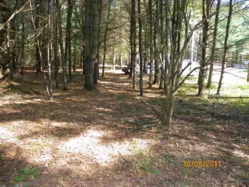 [Hearth.com] Walking Trail Clearing