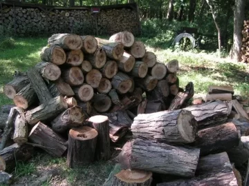 [Hearth.com] Shagbark Hickory. How long before it gets too punky?