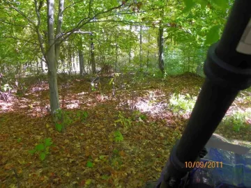 [Hearth.com] Beech Off The Ground!