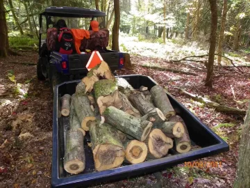 [Hearth.com] Red Maple Leaner Down