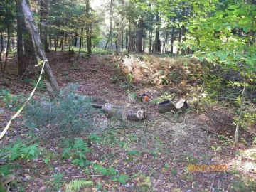 [Hearth.com] Maple Leaner Cut