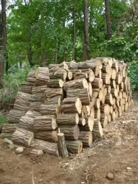 [Hearth.com] Newbie builds log racks