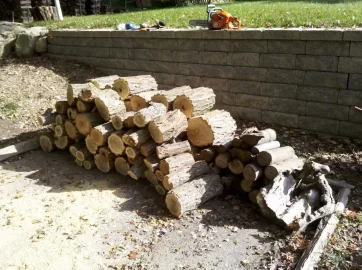[Hearth.com] First legit scrounge :)   - wood ID?