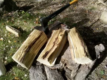 [Hearth.com] First legit scrounge :)   - wood ID?