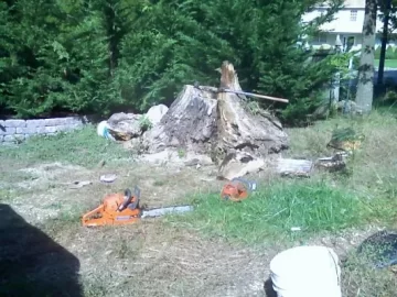 [Hearth.com] My stump
