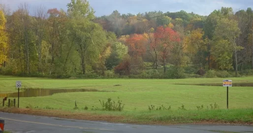 [Hearth.com] Fall Foliage Pictures