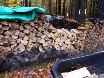 [Hearth.com] Then the Sky Opened Up!