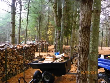 [Hearth.com] Should Have Stayed!