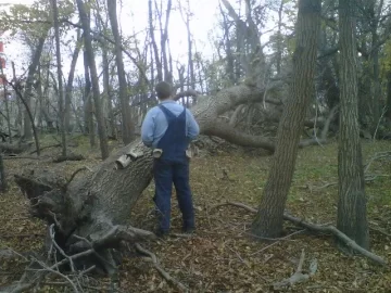 [Hearth.com] Now thats a big ash