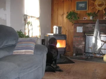 [Hearth.com] Pellet Consumption.....