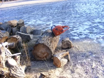[Hearth.com] Perfect wood cutting temps