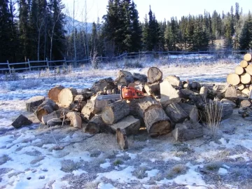 [Hearth.com] Perfect wood cutting temps