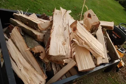 [Hearth.com] Shag Bark -  got it!