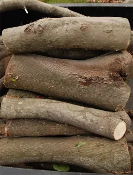 [Hearth.com] Shag Bark -  got it!