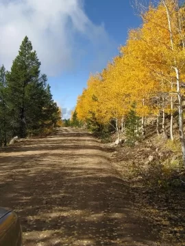 [Hearth.com] Colorado trip for Fall colors....found snow