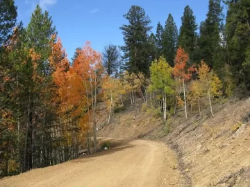 [Hearth.com] Colorado trip for Fall colors....found snow