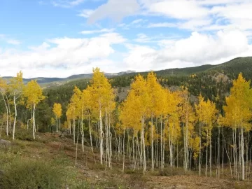 [Hearth.com] Colorado trip for Fall colors....found snow