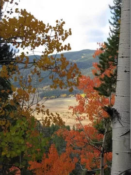 [Hearth.com] Colorado trip for Fall colors....found snow
