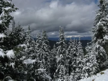 [Hearth.com] Colorado trip for Fall colors....found snow