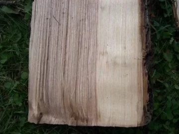 [Hearth.com] Wood ID