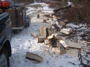 [Hearth.com] Local wood cutting area has snow. (Pics)