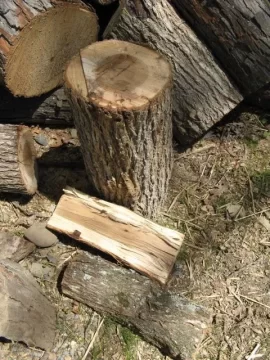 [Hearth.com] Wood ID