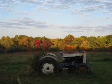 [Hearth.com] Fall Pics from Indiana