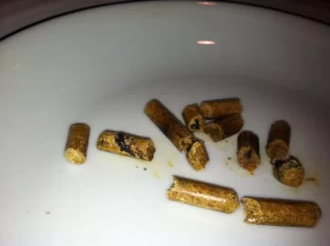 [Hearth.com] Eden Wood Pellet Review and WARNING See PICS