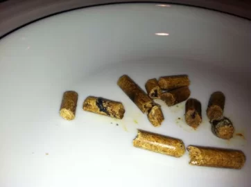[Hearth.com] Eden Wood Pellet Review and WARNING See PICS