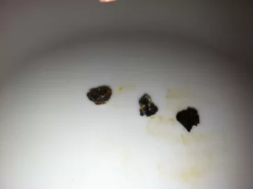 [Hearth.com] Eden Wood Pellet Review and WARNING See PICS