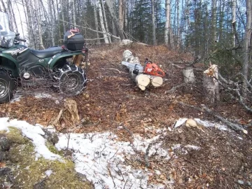 [Hearth.com] Local cutt'n area (AK)  2nd trip (Pics)
