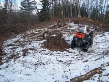 [Hearth.com] Local cutt'n area (AK)  2nd trip (Pics)
