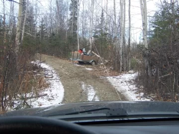 [Hearth.com] Local cutt'n area (AK)  2nd trip (Pics)