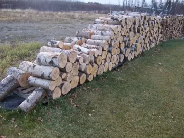 [Hearth.com] Local cutt'n area (AK)  2nd trip (Pics)