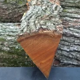 [Hearth.com] Wood ID