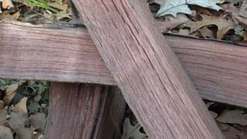 [Hearth.com] Wood ID