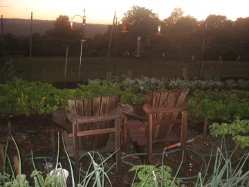 [Hearth.com] Tomato Arbor